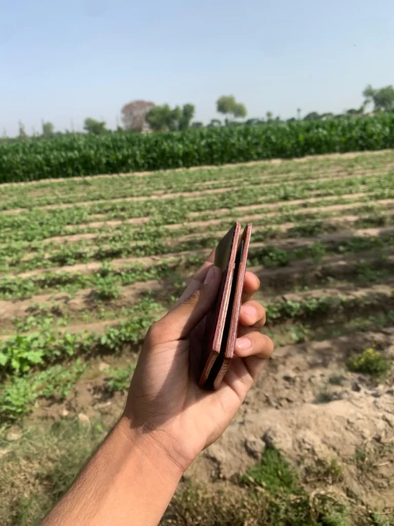 WhatsApp Image 2026-04-10 at 6.00.18 PM.webp