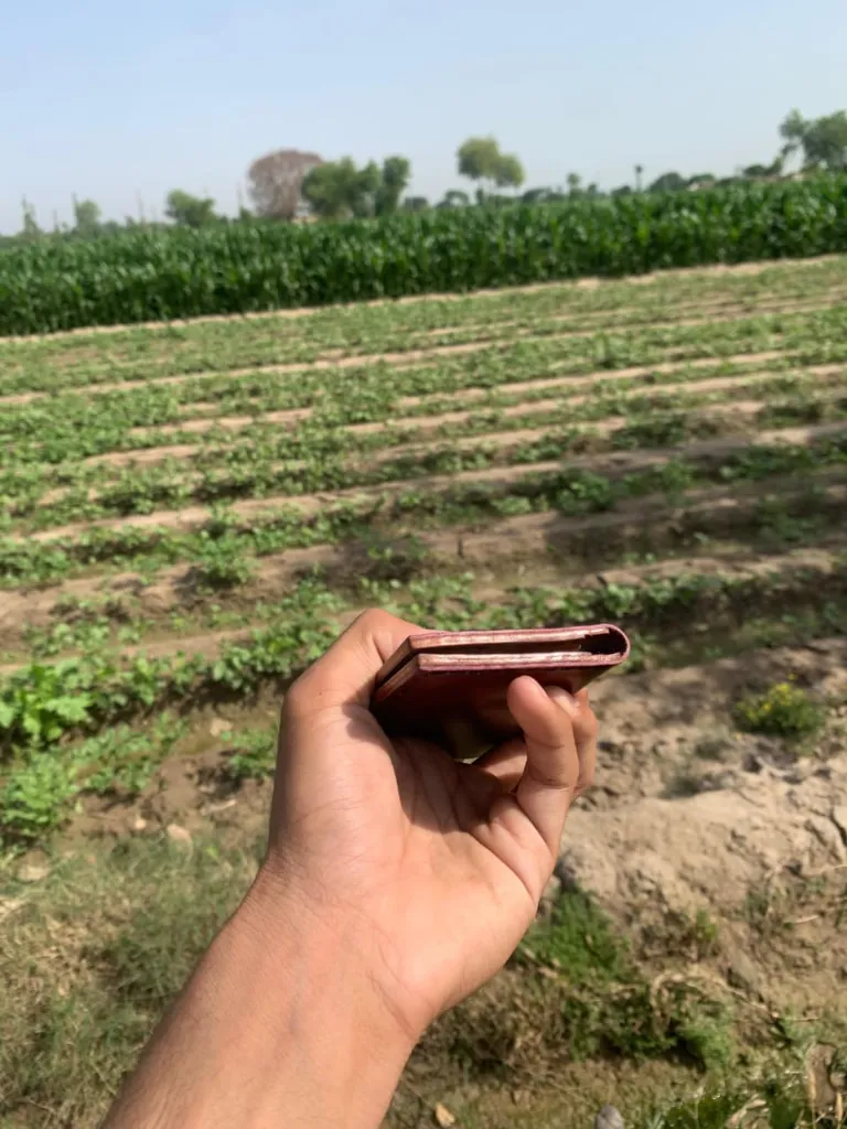 WhatsApp Image 2026-04-10 at 6.00.22 PM.webp