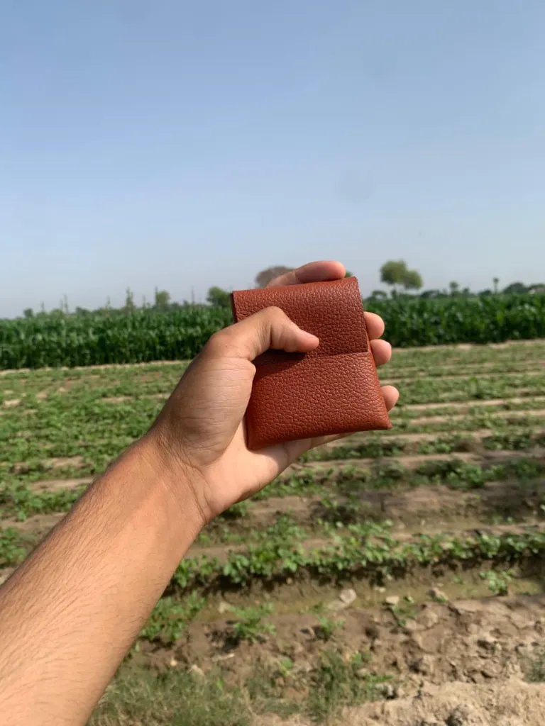 WhatsApp Image 2026-04-10 at 6.00.28 PM.webp