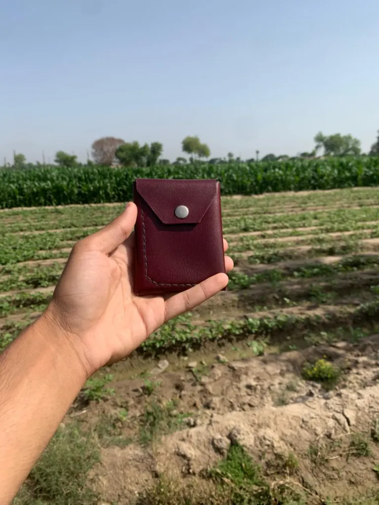 WhatsApp Image 2026-04-10 at 5.59.34 PM.webp