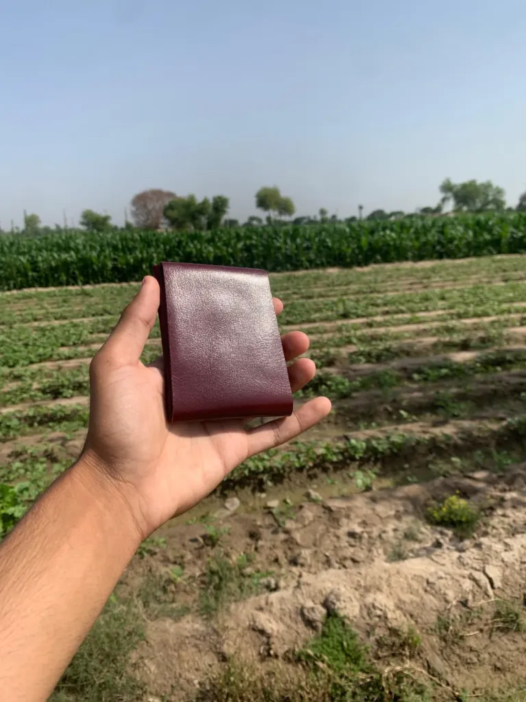 WhatsApp Image 2026-04-10 at 5.59.44 PM.webp